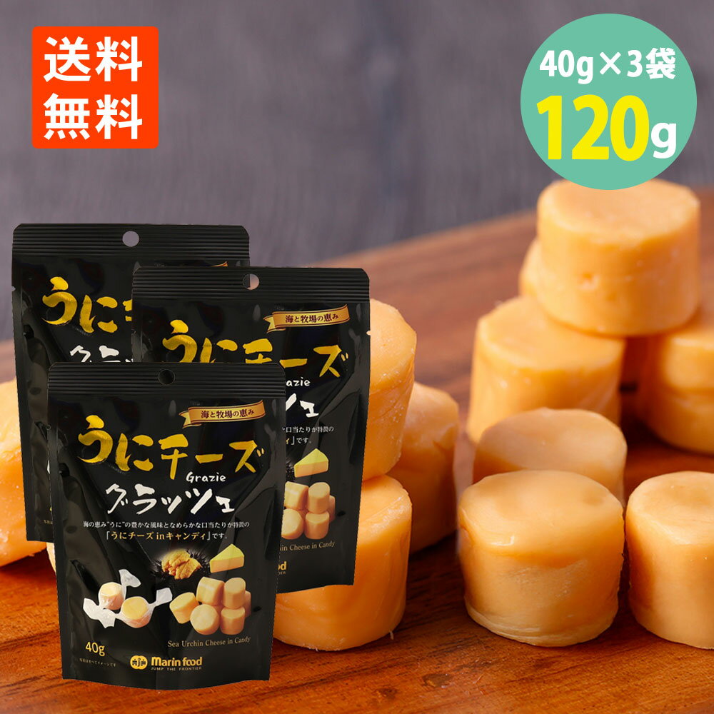 うにチーズグラッツェ40g×3袋 わけあり 賞味期限2025.12.31 個包装 メール便 送料無料 うに チーズ 珍味 おやつ 酒のつまみ 酒の肴 酒のお供 ...