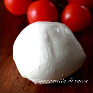 イタリア産 モッツァレラバッカチーズ 100g モッツアレラチーズ 無添加食品 チーズ おつまみ お取り寄せ