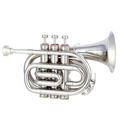楽天市場】MAXTONE ポケット トランペット TM-100の通販 楽天市場】MAXTONE ポケット トランペット TM-100の通販