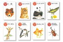 【送料無料】 図鑑絵本ビッグチャム(全8巻)