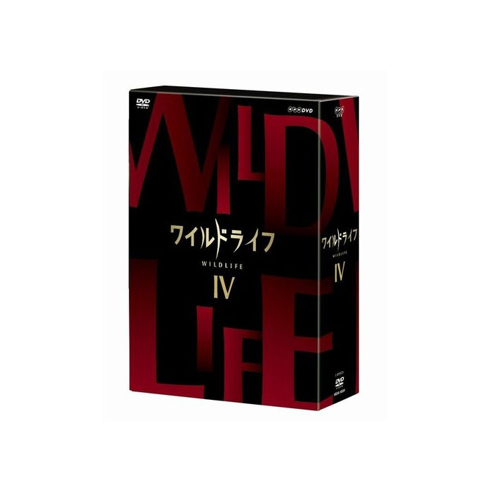 yz ChCt DVD-BOX4