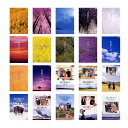 北の国から DVD 全巻 (連続ドラマ1-12 + ドラマスペシャル「83 冬」-「2002遺言」) 計20巻セット