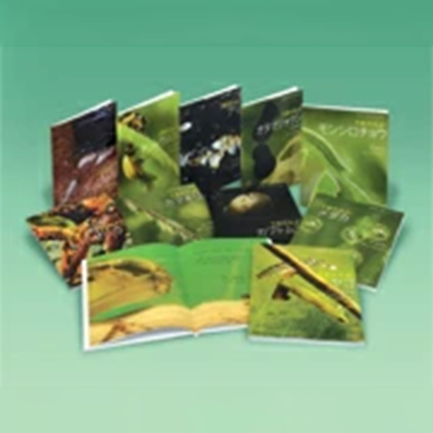 樂天商城 - よみきかせ　いきものしゃしんえほん〈第1期〉（全10巻）