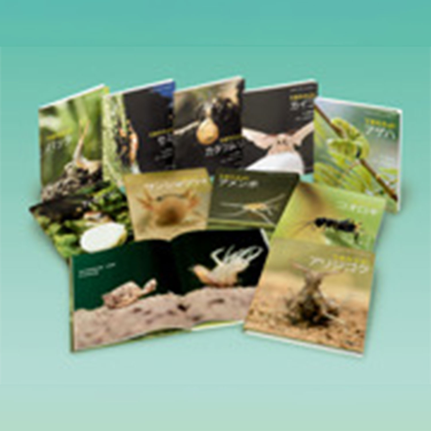 ��ߤ�������������Τ��㤷�󤨤ۤ����2���ӡ���10����