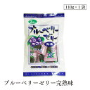 ブルーベリーゼリー完熟味110g 光陽