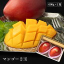 マンゴー 2玉 600g 秀品