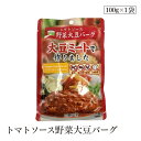 トマトソース野菜大豆バーグ100g 三育