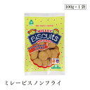ミレービスノンフライ100g サンコー