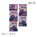 グレープグミ20g×4連 サンコー