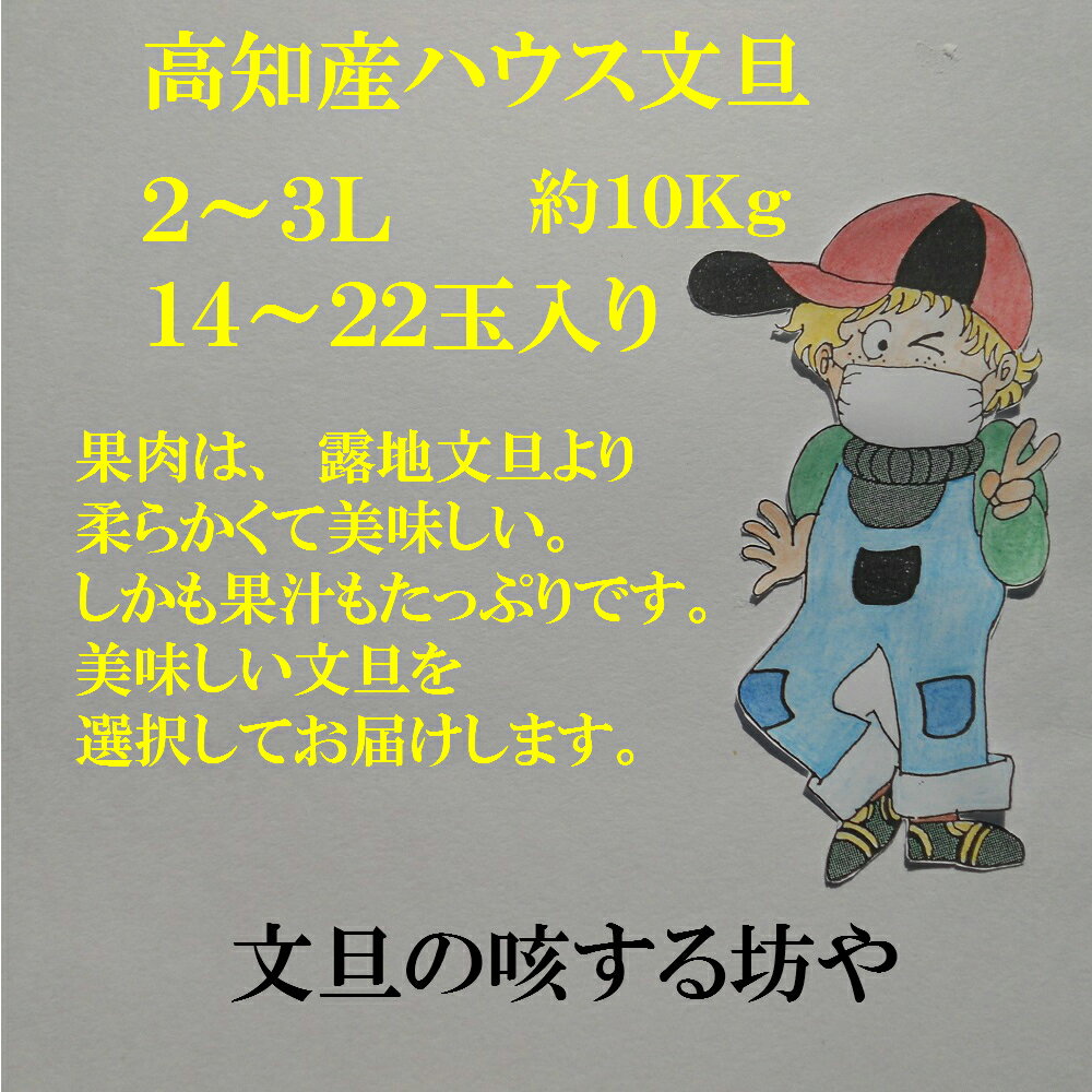 【送料無料】訳あり高知ハウス文旦2〜4L　22〜12玉入り約10Kg　土佐文旦　家庭用温室文旦　ただし北海道沖縄は送料600円のご負担お願いします。