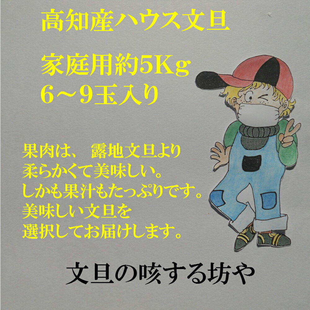 【送料無料】訳あり高知産ハウス文旦約5Kg　温室文旦家庭用6〜9玉入り　文旦　ただし北海道沖縄は送料600円のご負担お願いします。