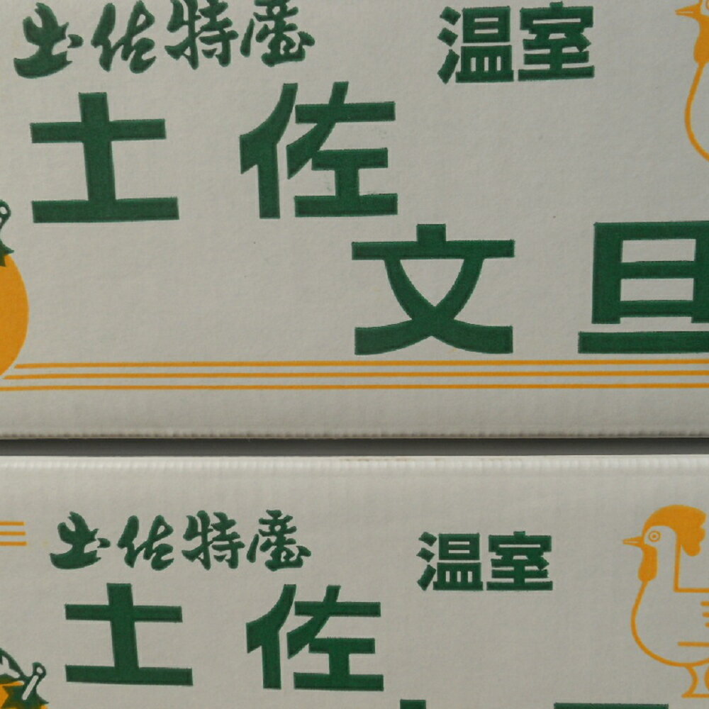 【送料無料】訳あり高知産ハウス文旦約5Kg　温室文旦家庭用6〜9玉入り　文旦　ただし北海道沖縄は送料600円のご負担お願いします。