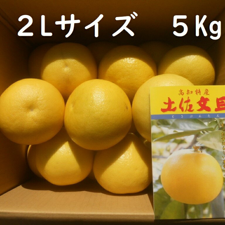 楽天市場】土佐文旦 2lの通販 楽天市場】土佐文旦 2lの通販