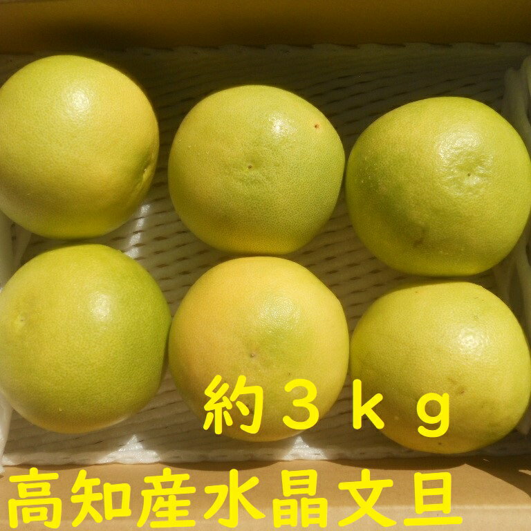 【送料無料】高知産　訳あり水晶文旦　　家庭用　約3Kg　ハウス文旦　玉数お任せ6~10玉前後入り　エコ段ボール箱入り　ただし北海道沖縄は送料1000円のご負担お願いします。