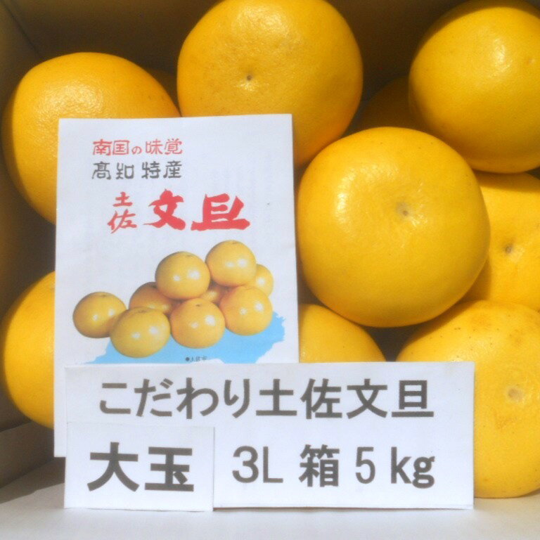 楽天市場】大玉文旦の通販