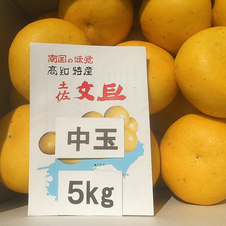 文旦　みかん　ポンカン　訳あり　20kg 楽天市場】文旦 ポンカンの通販