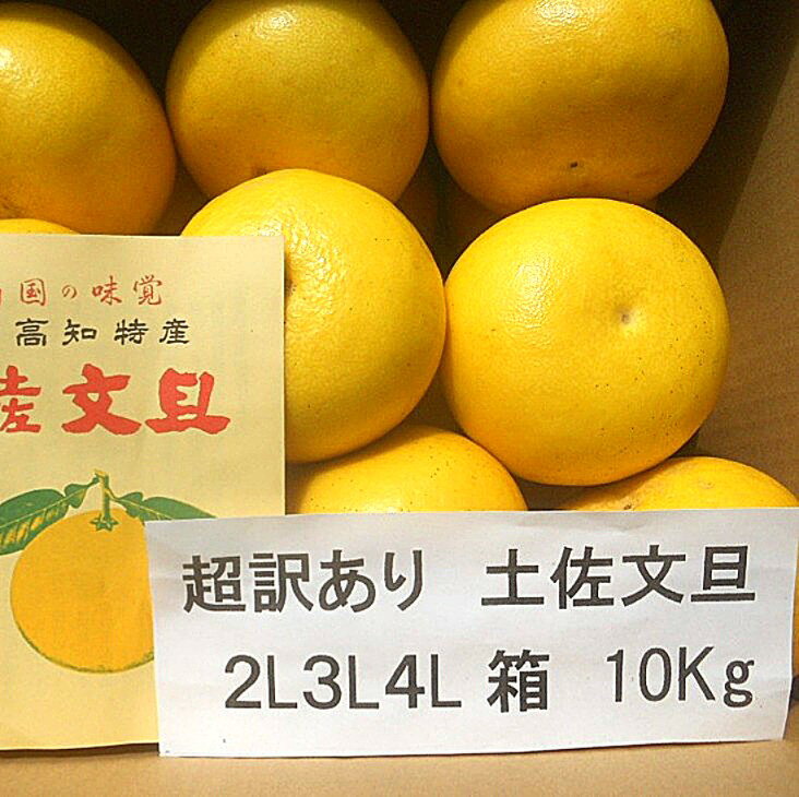 【送料無料】超訳あり　高知産　約10Kg　土佐文旦　2L箱、3L箱、4L箱　約10～9,5Kg 訳あり家庭用　サイズお任せ 土佐文旦　ただし北海..