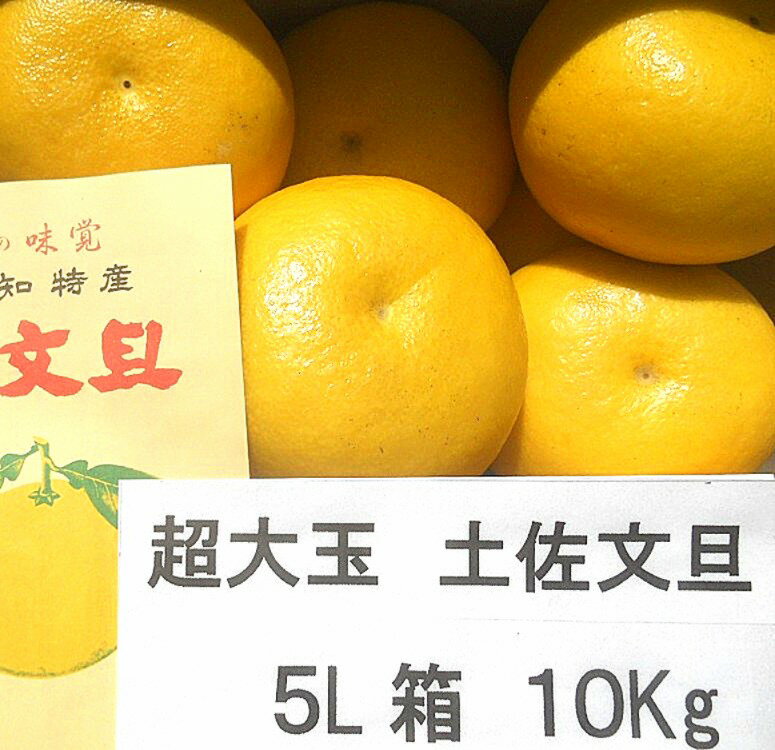 楽天市場】文旦 5lの通販