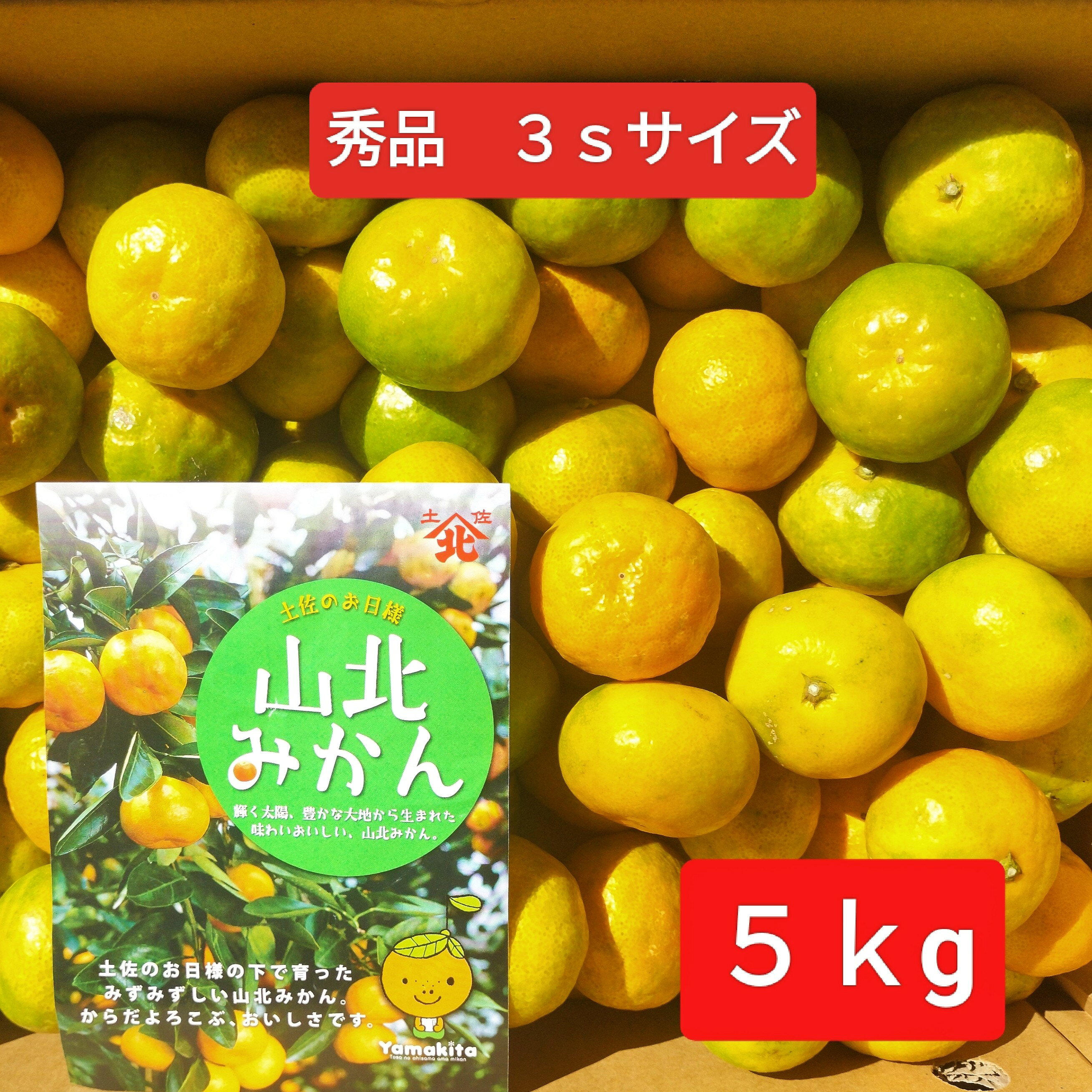 高知産　約５Kg　高糖度　温室山北みかん ３S　秀品　北海道沖縄発送不可 楽天市場】山北 みかん 5kgの通販