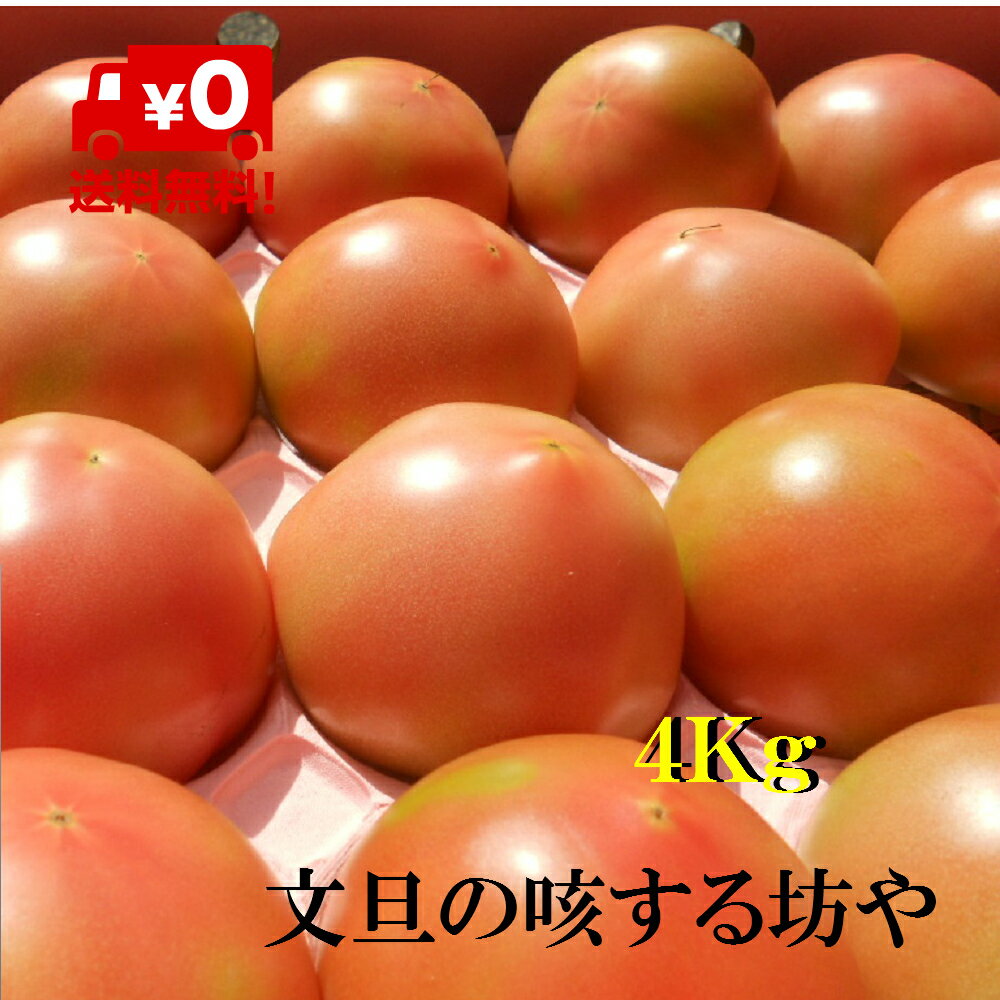 【送料無料】高知産桃太郎トマト約4Kgただし北海道沖縄は送料800円 100サイズまで のご負担お願いします 