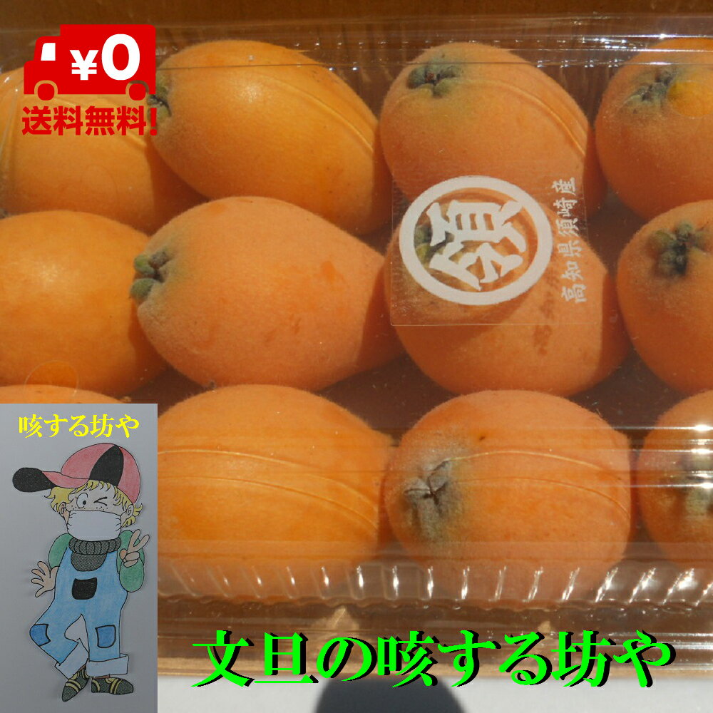 【送料無料】【日にち指定不可】高知産香川産 茂木びわ 約1，3～1，6Kg サイズM〜2L ただし北海道沖縄は送料1000円のご負担お願いします 入荷次第順次発送いたします 不作のため 日にち指定不…