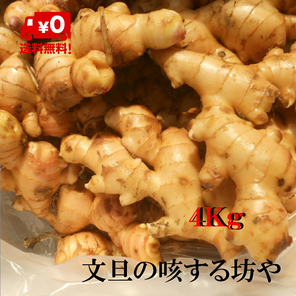 【送料無料】高知産囲い生姜4Kg　産地直送　洗い大生姜　北海道沖縄は送料1000円（8Kgまで）のご負担お願いします。