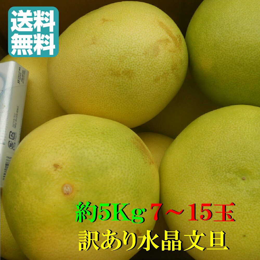 【送料無料】高知産訳あり水晶文旦　約5Kg　文旦　北海道沖縄は送料600円のご負担お願いします。