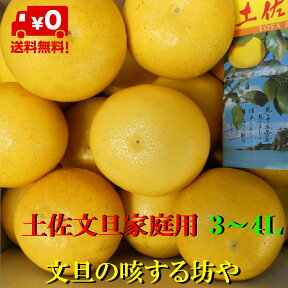 【送料無料】高知産　約10Kg　土佐文旦　大玉　3L箱又は4L箱　　14～18玉前後入り　ぶんたん　家庭用　　北海道沖縄は送料1箱1000円2箱1900円のご負担お願いします。2月半ばごろより入荷次第順次発送いたします。