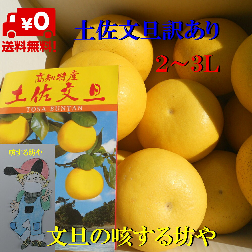 楽天市場】土佐文旦 10kg 送料無料 3l~の通販 楽天市場】土佐文旦 10kg 送料無料 3l~の通販