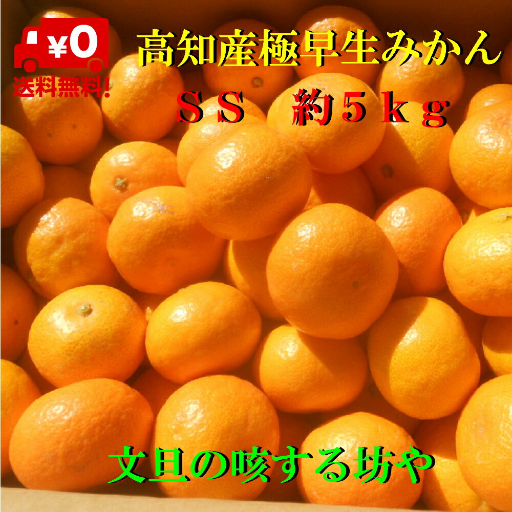 【送料無料】2Sサイズ　高知産 山北 極早生、早生みかん 約5kg家庭用 サイズ2S 　みかん　北海道沖縄は、1箱1000円2箱1500円ご負担お願いします。