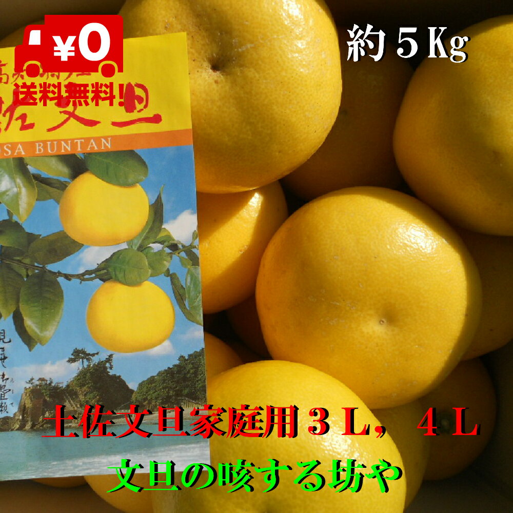 【送料無料】高知産大玉土佐文旦家庭用3L，2L約　5Kg　ただし北海道沖縄は、送料800円ご負担お願いいたします。2月半ばごろより入荷次第順次発送いたします。