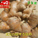 高知産洗い囲い生姜　大生姜　約2kgただし北海道沖縄は送料1000円のご負担お願いします。