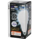 【即日出荷】高儀 EARTH MAN LED電球 LL-22A 22W E26 昼光色 150W相当