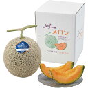 【直送・ギフト】【日時指定不可】富良野メロン(特大玉) Q10-8Y(633)【沖縄・離島配送不可】【同梱不可】