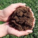 【プロ独自配合】植物専用の培養土 50L オリジナルブレンド 送料無料(関東・東海・関西・北陸・信越に限り) レビューを書いて鶏糞プレゼント!! 園芸用土
