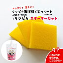 \上履き洗いをカンタン・楽チン・自動化!/ クツピカ 洗濯機で楽々 シート & クツピカ スターターセット プロ仕様の靴洗いシート【メール便限定】洗濯ネット ラ...