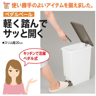 ネオカラー 分別スリムペダル 20リットル ゴミ箱 ペダル 分別 トンボ 20 / ごみ箱 スリム ふた付き 20L プラスチック TONBO /
