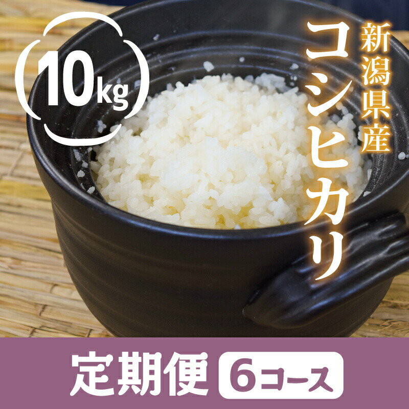 コシヒカリ 令和4年産 2022年度産 10kg／6回コース