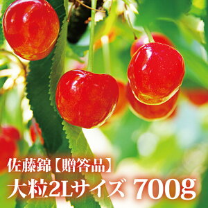 【予約受付中！】【5月15日販売終了】果樹の里 聖籠町産 佐藤錦 さくらんぼ【贈答品】700g【送料無料】果物 フルーツ 高級 美味しい 糖度20以上 プレゼント ギフト 贈答品 父の日 産地直送 国産