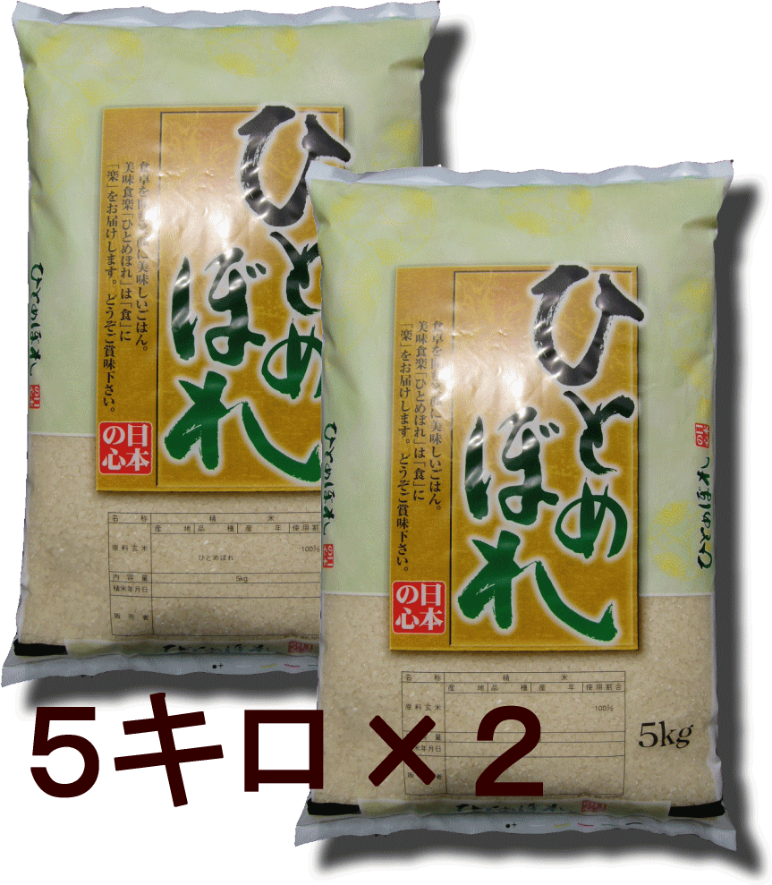 【令和5年産】宮城産ひとめぼれ100％5キロ×2