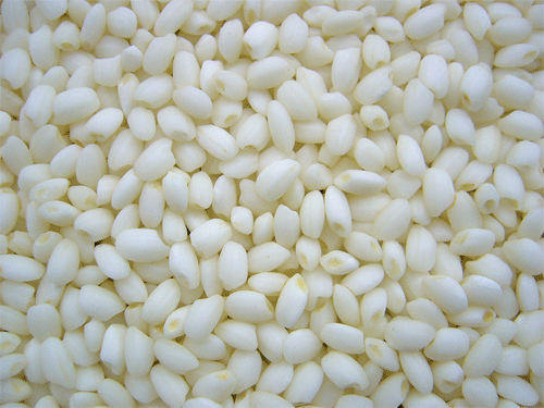 【令和6年産】福島県産ヒメノモチ　1kg
