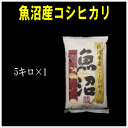 【令和5年産】南魚沼産コシヒカリを五ツ星お米マイスターが発送日に精米いたします