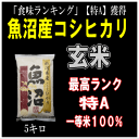 【令和3年産】【玄米】　南魚沼産こしひかりこちらは【玄米】5キロです。