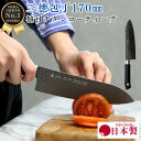【ゴールデンウィークSALEポイント10倍】 槌目 チタンコーティング 和包丁 三徳包丁17cm TT01 日本製 岐阜県 関市 包丁 ほうちょう 魚 さかな ...