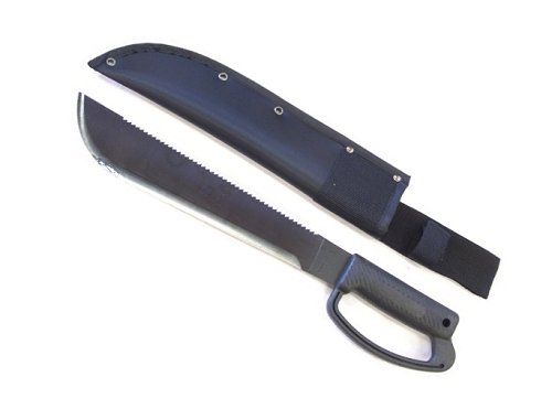 KANTASカンタス4242N 12