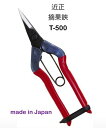 【2本までメール便 270円 対応商品】近正チカマサ摘果鋏 T-550 芽切 摘果 摘花 収穫盆栽 ゴム レザー ハサミ 鋏日本製【24-1】【CHIKA-T-550】