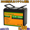 3000回使える 100AH リチウムイオンバッテリー 12V 1280Wh バッテリー リン酸鉄 リチウム電池 lifepo4 ディープサイクル BMS保護 RV キャンピングカー 自動車 ソーラーパネル ソーラーシステム 軽量 コンパクト EcoWorthy