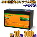 リン酸鉄リチウム電池 12v 10Ah128Wh 〜100Ah1280Wh 3000回寿命 安全 BMS保護 軽量 コンパクト ディープサイクルバッテリー サポ...