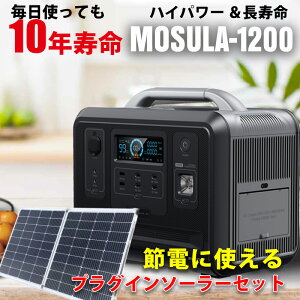 󥻥Ȥ˺ȯ 󤿤ť顼 ǿ ݡ֥Ÿ ŵ︺ ץ饰󥽡顼å Ϻ 2400w 1200w 960wh UPS 16ĤŻҵƱ³ 220w ޤꤿ 顼ѥͥ ޥС  2050顼