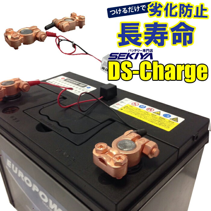 5ھѼ֡緿ѡSEKIYA Хåƥ꡼ ư Ķѥ륹 DS Charger 5ĥå Хåƥ꡼ Хåƥ꡼...